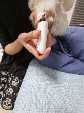 [레드허니밤]자유펫 고양이 강아지 발바닥 밤 14g — 5점을 준 리뷰어가 2021년 10월 올린 사용 사진