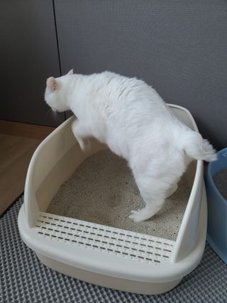 마녀철수님이 올린 리뷰 사진 1