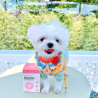 펭뽀꾸님이 올린 리뷰 사진 1