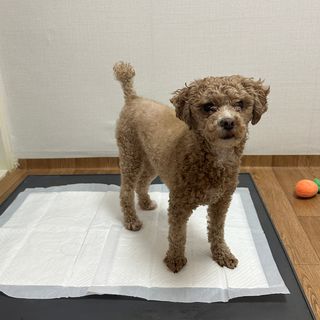 유르딩님이 올린 리뷰 사진 2