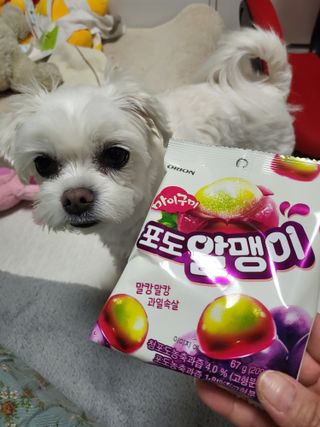 뽀오오옹님이 올린 리뷰 사진 1