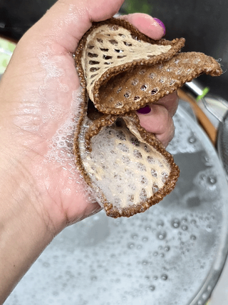 박꽃님이 올린 리뷰 사진 1
