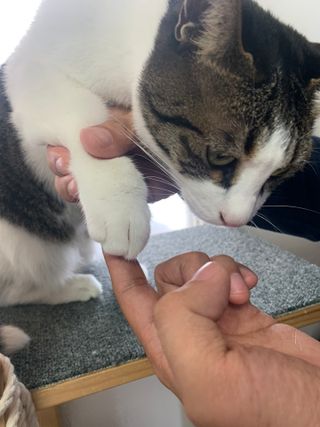 샬페이님이 올린 리뷰 사진 4