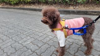 콩지님이 올린 리뷰 사진 1