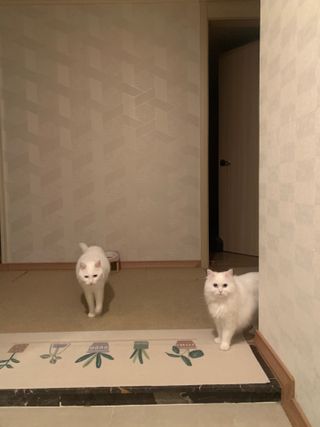 례진님이 올린 리뷰 사진 3