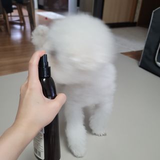 ❤꼬네우니🧡님이 올린 리뷰 사진 2