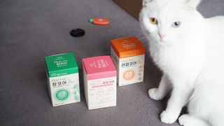 도르방구님이 올린 리뷰 사진 1