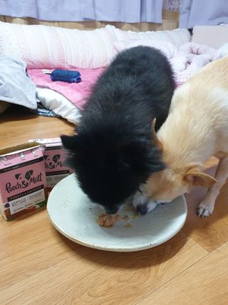 복덩이님이 올린 리뷰 사진 3