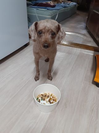 쪙현님이 올린 리뷰 사진 3