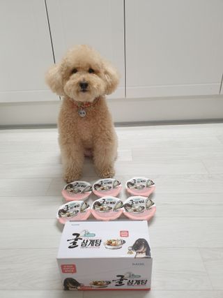 차세라님이 올린 리뷰 사진 1