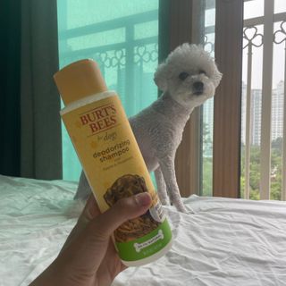 bongdam님이 올린 리뷰 사진 2