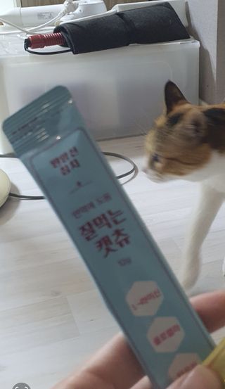 페페로니 잘 먹는 캣츄 - 원양선 참치 24개입 — 5점을 준 리뷰어가 2021년 8월 올린 사용 사진
