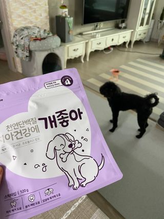 My Pet Care 천연단백질 치아건강에 개좋아 — 5점을 준 리뷰어가 2021년 1월 올린 사용 사진