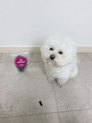 JENNY님이 올린 리뷰 사진 2