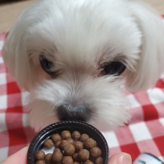 힙스터펭님이 올린 리뷰 사진 1