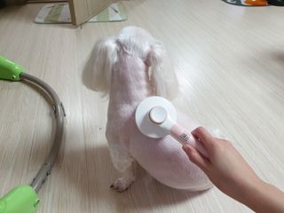 사라님이 올린 리뷰 사진 1
