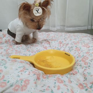솜희님이 올린 리뷰 사진 3