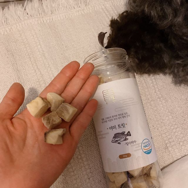 부르르펫 야미트릿 틸라피아 60g 리뷰 사진