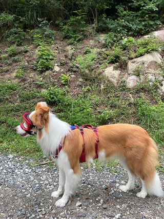 박꽃님이 올린 리뷰 사진 1