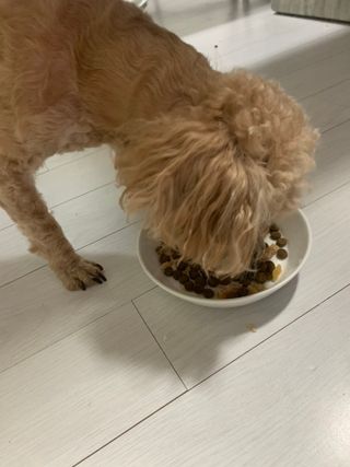 랑이님이 올린 리뷰 사진 3