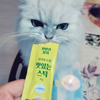 페페로니 맛있는 스틱 - 무항생제 닭고기 15개 + 원양선 참치 15개 — 5점을 준 리뷰어가 2021년 10월 올린 사용 사진