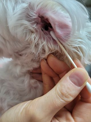 시우하늘맘님이 올린 리뷰 사진 3