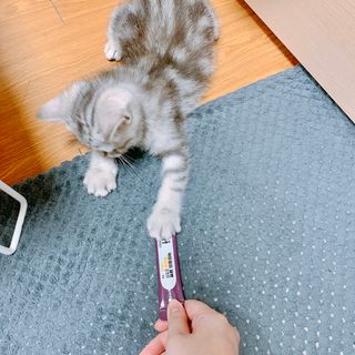 펭뽀꾸님이 올린 리뷰 사진 3