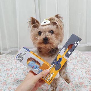 솜희님이 올린 리뷰 사진 1