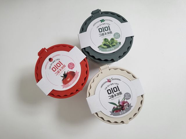 [꿈쟁이] 자급자족 집에서 키워먹는 식물기르기 키트 5종 (화분, 씨앗 랜덤) 리뷰 사진