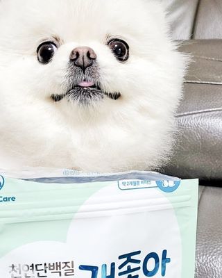 My Pet Care 천연단백질 눈건강에 개좋아 — 5점을 준 리뷰어가 2021년 2월 올린 사용 사진