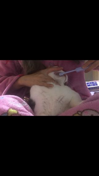 c1bzzvd5mkg님이 올린 리뷰 사진 2