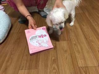 My Pet Care 천연단백질 관절건강에 개좋아 — 5점을 준 리뷰어가 2021년 1월 올린 사용 사진