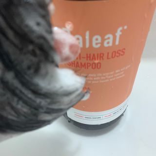 달리프 진저 베러 퍼퓸 탈모 완화 샴푸 1000ml 향 3종 — 5점을 준 리뷰어가 2021년 2월 올린 사용 사진