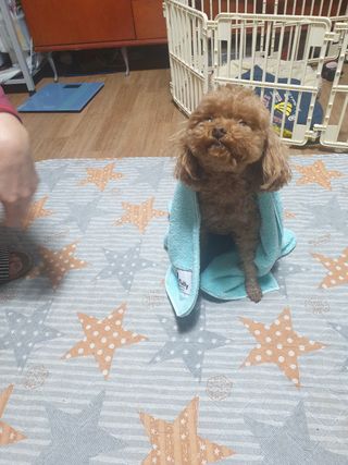 kay님이 올린 리뷰 사진 1