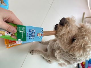 아꽁님이 올린 리뷰 사진 1