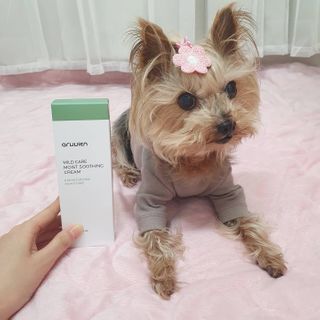 솜희님이 올린 리뷰 사진 3
