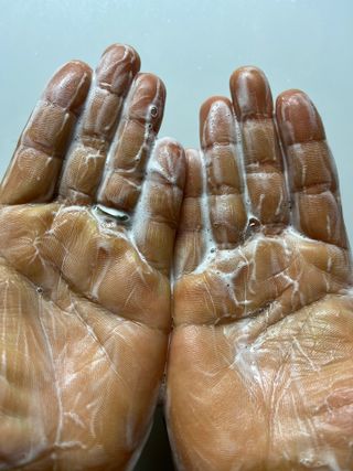 햄쓰님이 올린 리뷰 사진 4
