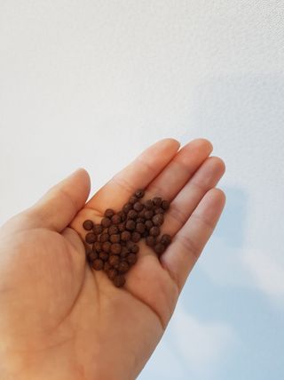 karukim님이 올린 리뷰 사진 3