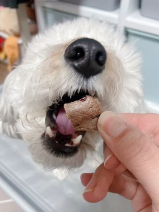 연쨩님이 올린 리뷰 사진 1