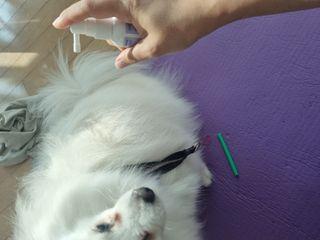 윰님이 올린 리뷰 사진 2