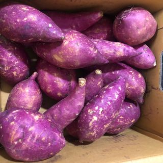 해뜨온 거산 노랑밤고구마 (3,4,5,10 kg) 한입 — 5점을 준 리뷰어가 2021년 10월 올린 사용 사진