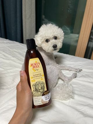 bongdam님이 올린 리뷰 사진 1