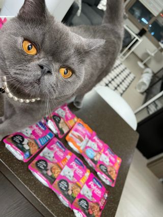 sehee님이 올린 리뷰 사진 3
