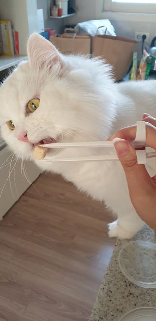 우동한그릇님이 올린 리뷰 사진 1