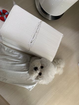 bae님이 올린 리뷰 사진 2