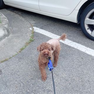 프롬님이 올린 리뷰 사진 1