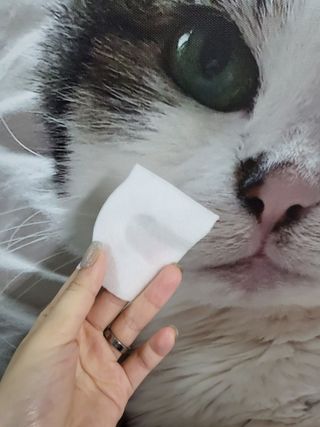 루잉루잉님이 올린 리뷰 사진 3