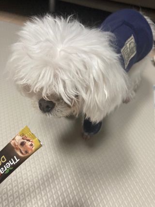 행복하렴님이 올린 리뷰 사진 4