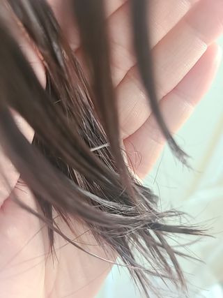롱롱님이 올린 리뷰 사진 4