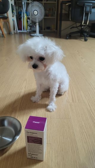 영님이 올린 리뷰 사진 3